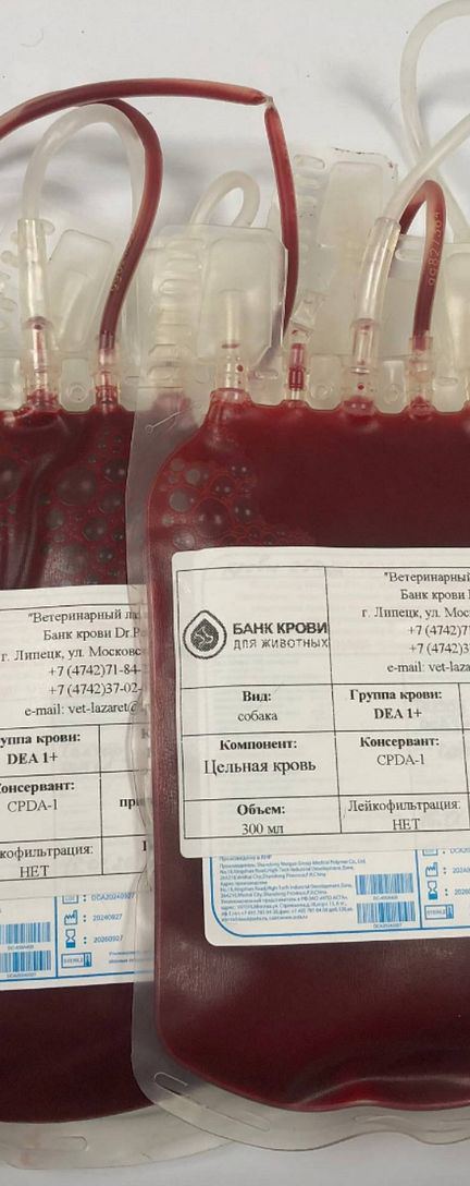 Пакет с компонентами крови и лабораторной документацией